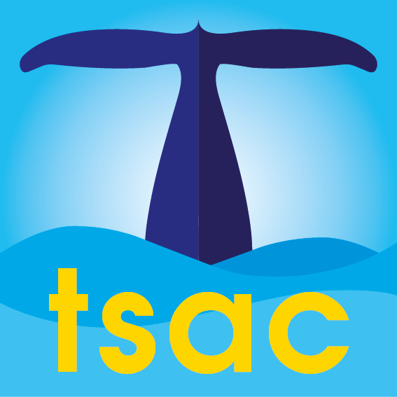 Stoney Cove Warm Up Dive