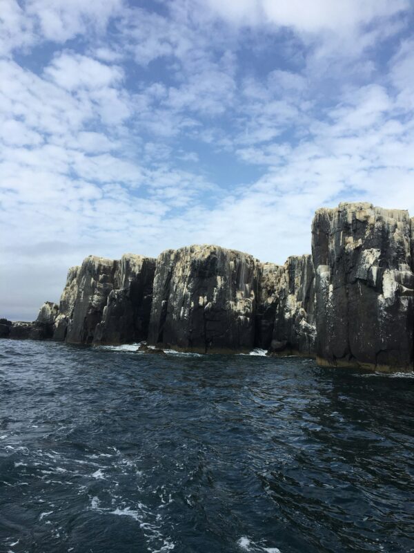 Farne Islands Wreck / Drift